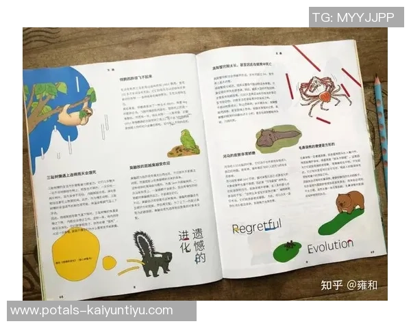 恩佐的成长之路：从平凡少年到璀璨明星的奋斗历程与人生启示